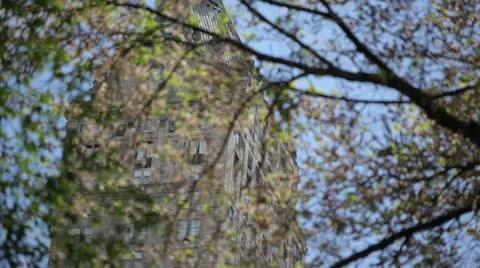 Spring in Central Park Stock Footage 11366325