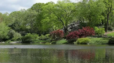 Spring in Central Park Stock Footage 11366347