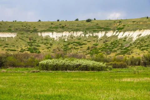 Spring at the chalk ridge 写真素材