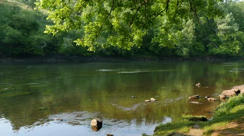 Spring on the Chattahoochee River in HD 4K Видео 38409094