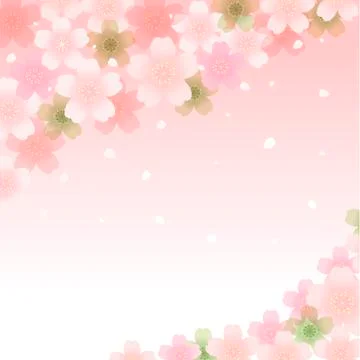 Spring Cherry blossom background Stock Illustration