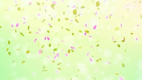 Spring cherry blossom petals and leaves, nature gradient design element Stock Photos