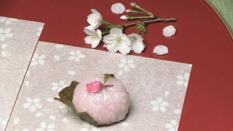 Spring Cherry Blossom Rice Cake Stock Footage 327473042
