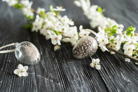 Spring cherry blossoms and Easter eggs on old wooden background. Stock Photos