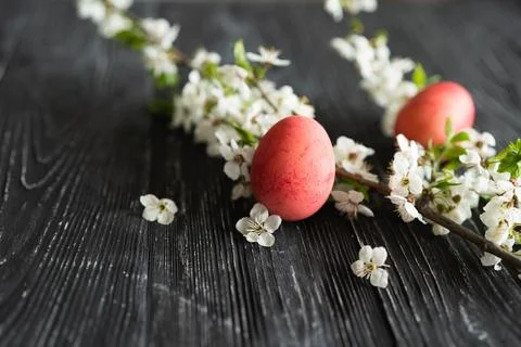 Spring cherry blossoms and Easter eggs on old wooden background. 库存照片