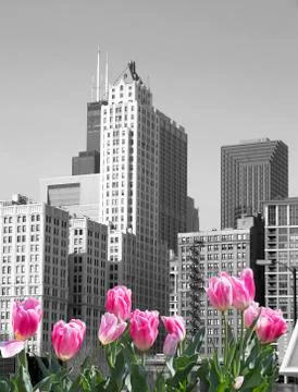 Spring in Chicago Foto stock