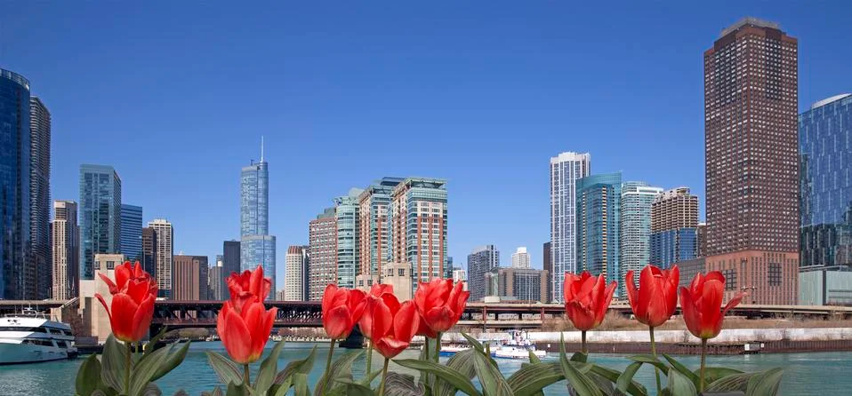 Spring in Chicago Stock Photos