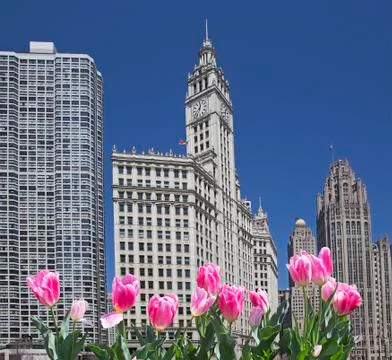 Spring in Chicago Foto stock