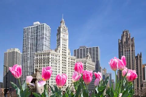 Spring in Chicago Foto stock