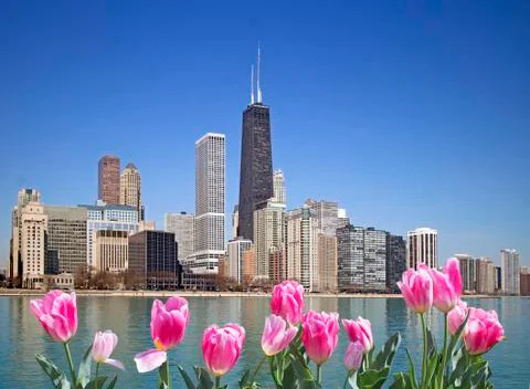 Spring in Chicago Stock Photos