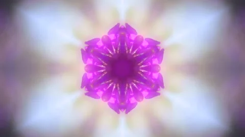 Spring circle kaleidoscopic pattern with bright pink flowers 库存影片 58260265