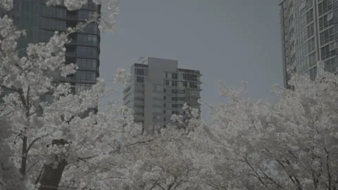 Spring City Apartment Building 库存影片 152952931