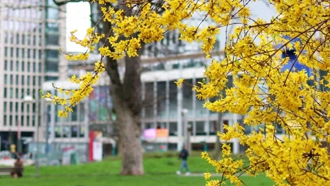 Spring in the city blur background 4k 25fps video Stock-Footage 268573503