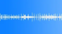 Spring City Park, the Birds Singing 03 (denoised)Sound Effect