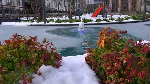 Spring in the city park Video stock 71347955