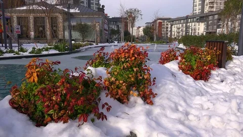 Spring in the city park Video stock 72291910