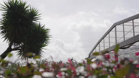 Spring in the city park Stock Footage 306940543