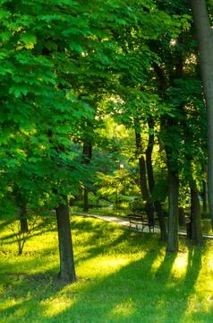 Spring city Park Foto stock