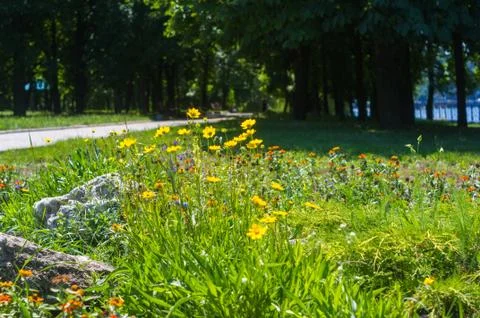 Spring city Park Stock Photos