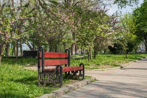 Spring in a city park 스톡 사진