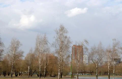 Spring in city park Stock Photos