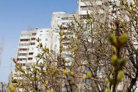 Spring in the city Stock Photos