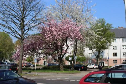 Spring in the City Stock Photos