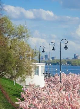 Spring cityscape with flowering trees, river and lanterns, selective focus Stock Photos