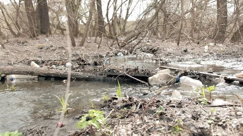 Spring clean creek contaminated with plastic garbage. Stock Footage 129420001