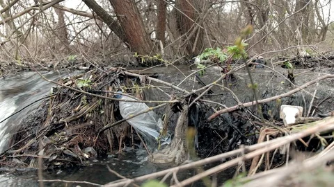 Spring clean creek contaminated with plastic garbage. 스톡 동영상 129420575