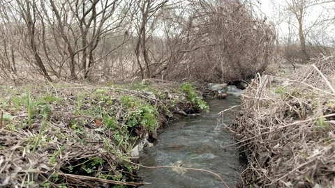 Spring clean creek contaminated with plastic garbage. 库存影片 129421280