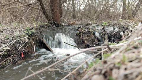 Spring clean creek contaminated with plastic garbage. 動画素材 129421773