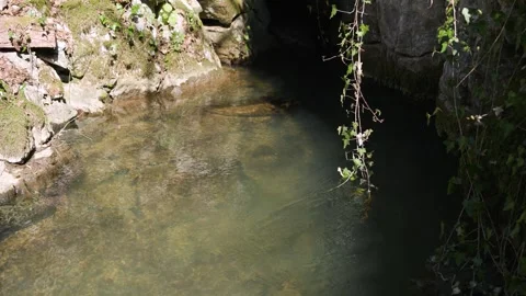 A spring of clean water under a large rock in the forest Stock Footage 341830036