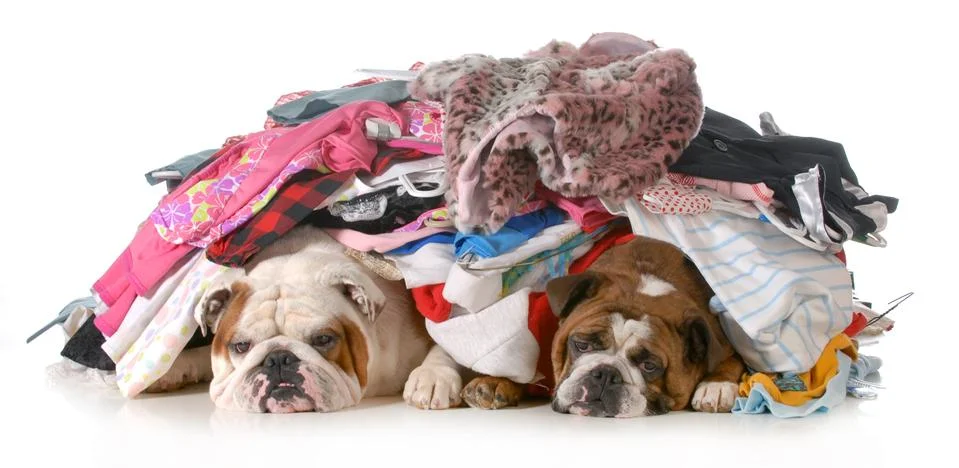 Spring cleaning Stock Photos