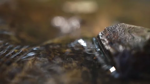 Spring, clear water flows in a fast smooth stream over the stones along greenery Stock Footage 163424695