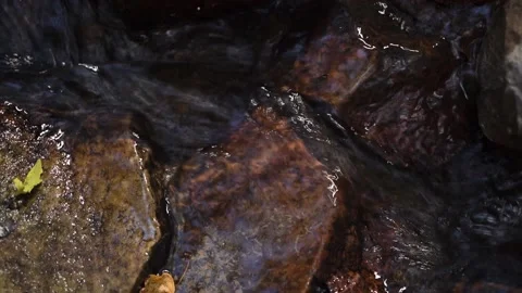 Spring, clear water flows in a fast smooth stream over the stones along greenery Stock Footage 163424720