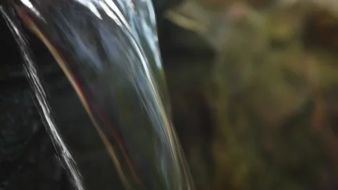 Spring, clear water flows in a fast smooth stream over the stones along greenery Stock Footage 163424746