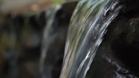 Spring, clear water flows in a fast smooth stream over the stones along greenery Stock Footage 163425023