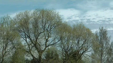 Spring clouds. Stock Footage 710858
