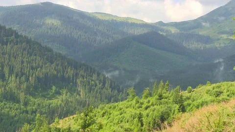 Spring Clouds timelapse. Stock Footage 81809217