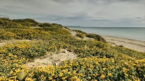 Spring Cloudy Day in the beach - Time Lapse Stock Footage 11057895