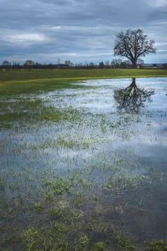 Spring cloudy day reflected in water Stock Photos