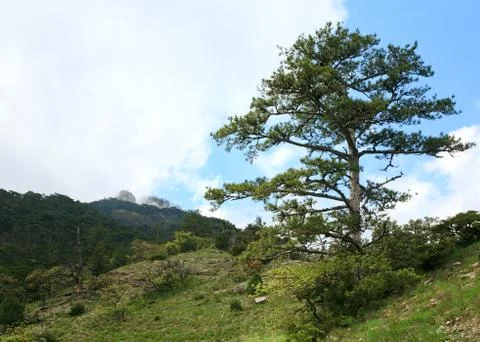 Spring cloudy view of slope of aj-petri mount (ukraine) Stock Photos