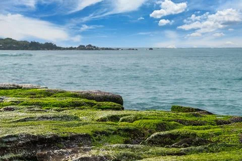 Spring Coastline with Green Algae Rocks at Laomei Green Reef in Taiwan. Stock Photos