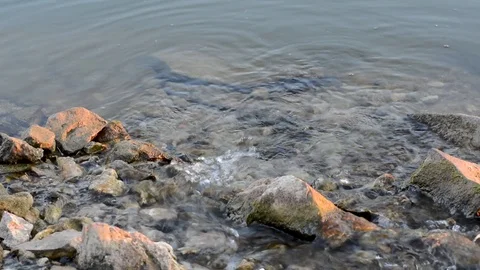 Spring cold water flows quickly among the stones in the summer Stock Footage 91683242