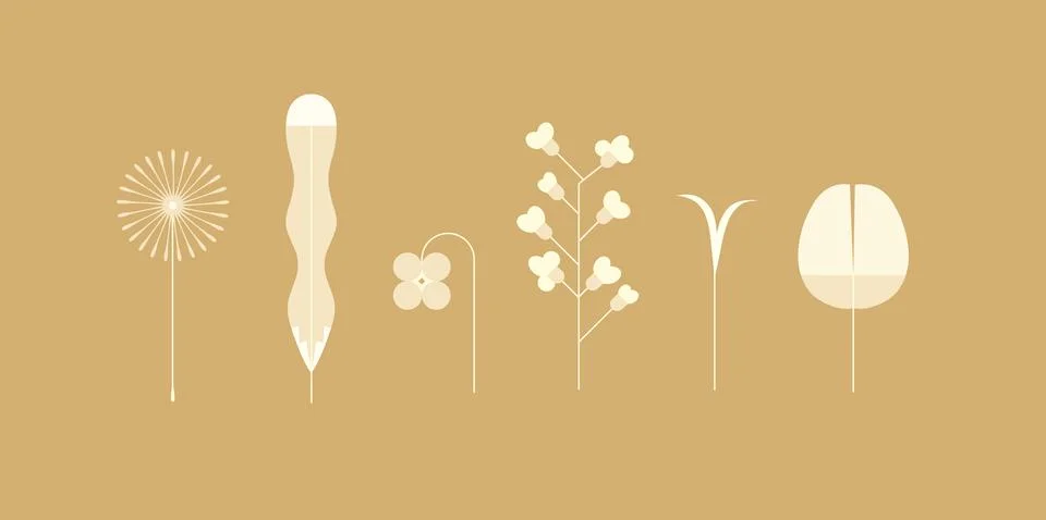 Spring colorful flower elements collection beige color イラスト素材