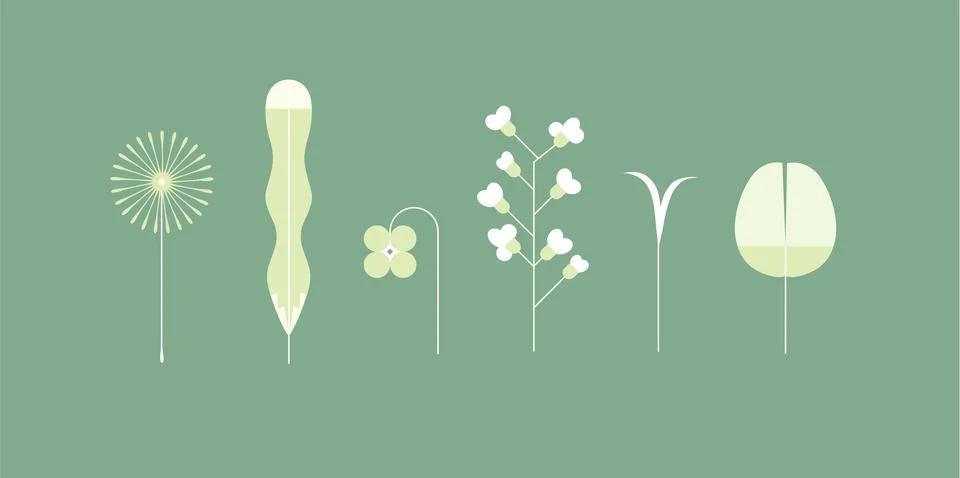 Spring colorful flower elements collection green color Stock Illustration