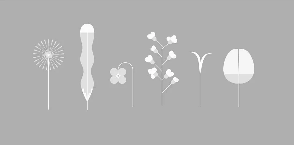 Spring colorful flower elements collection grey color Stock Illustration