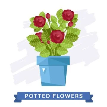 Spring colorful flowers in pots Vector Stock Illustration
