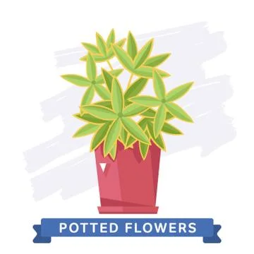 Spring colorful flowers in pots Vector Stock Illustration